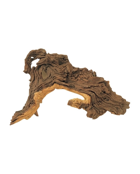 RACINE MOPANI S 15-25cm HOBBY